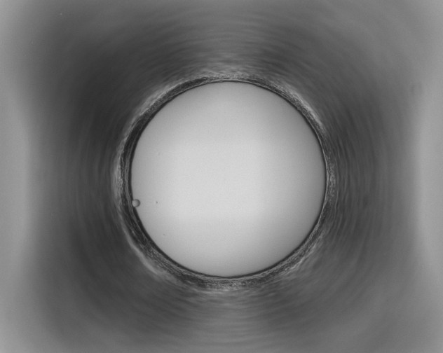 X0000116150674200911230952