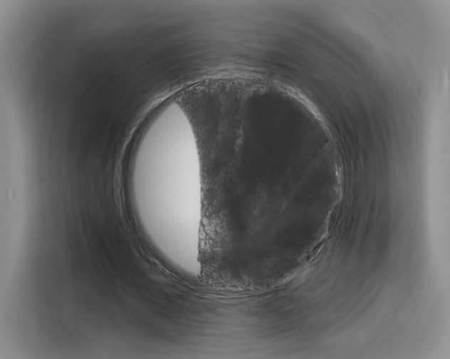 X0000116150675200911230952