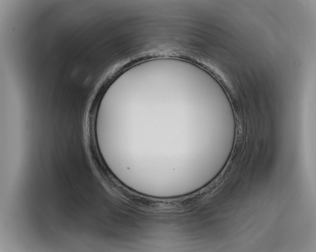 X0000116150678200911230952