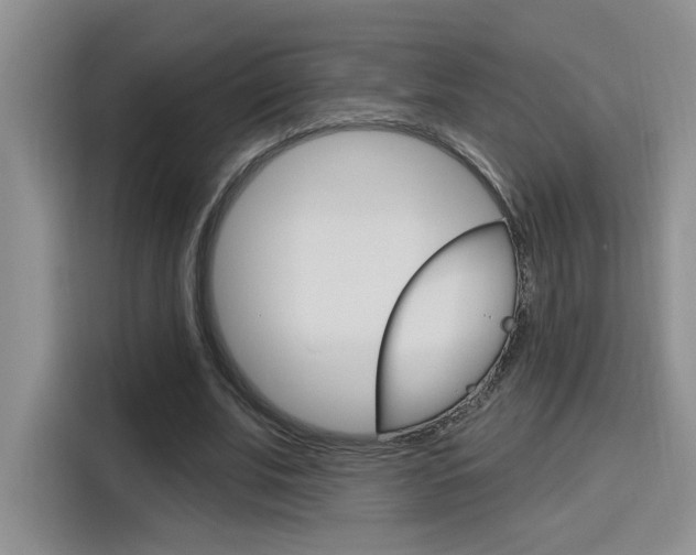 X0000116150679200911230952