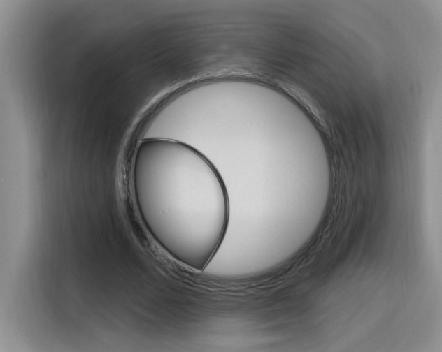 X0000116150680200911230952