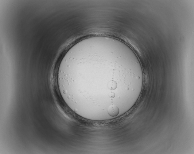 X0000116150682200911230952