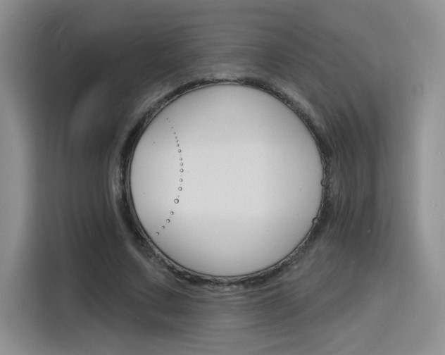X0000116150683200911230952