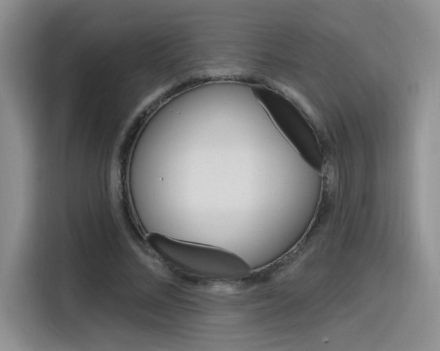 X0000116150684200911230952