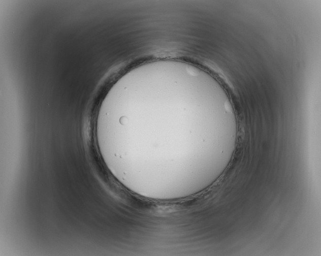 X0000116150686200911230952