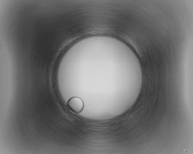X0000116150688200911230952