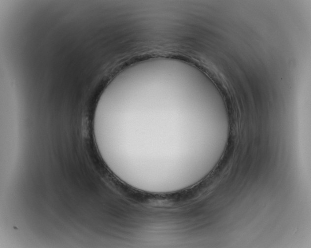 X0000116150689200911230952