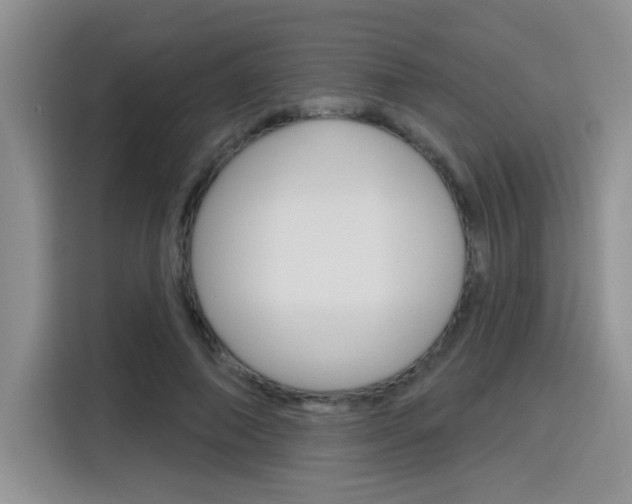 X0000116150690200911230952