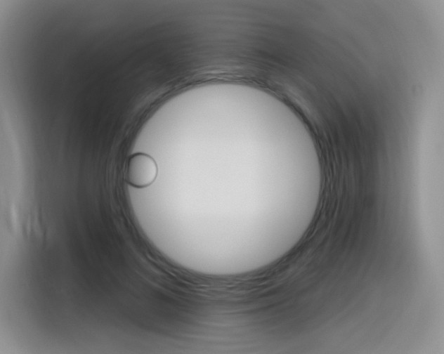 X0000116150692200911230952