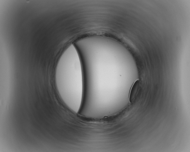 X0000116150693200911230952