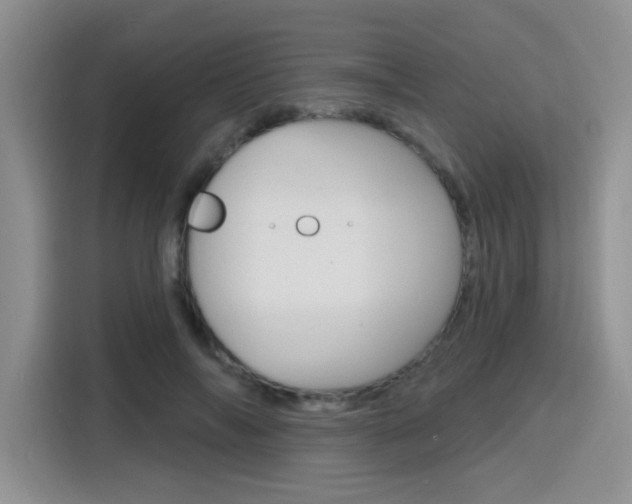 X0000116150694200911230952