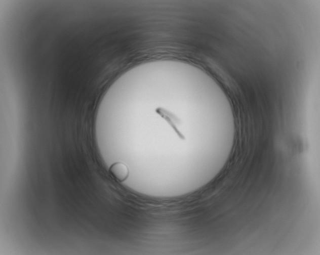 X0000116150696200911230952
