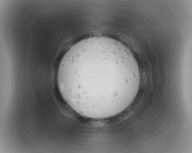 X0000116150698200911230952