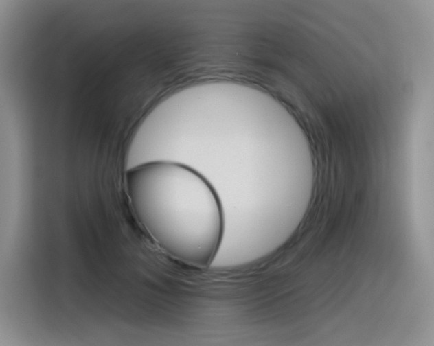 X0000116150700200911230952
