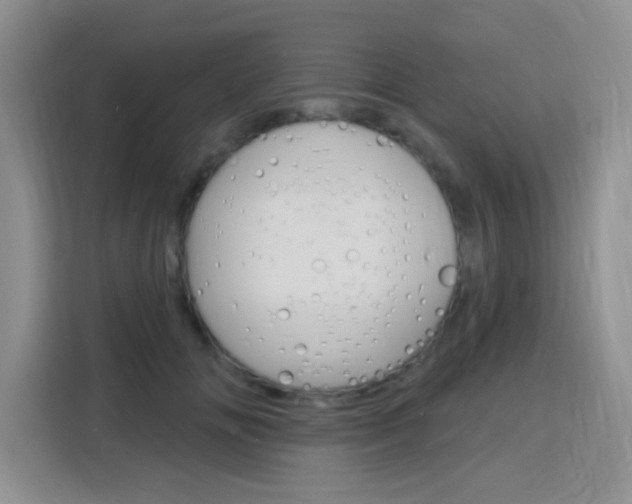 X0000116150702200911230952