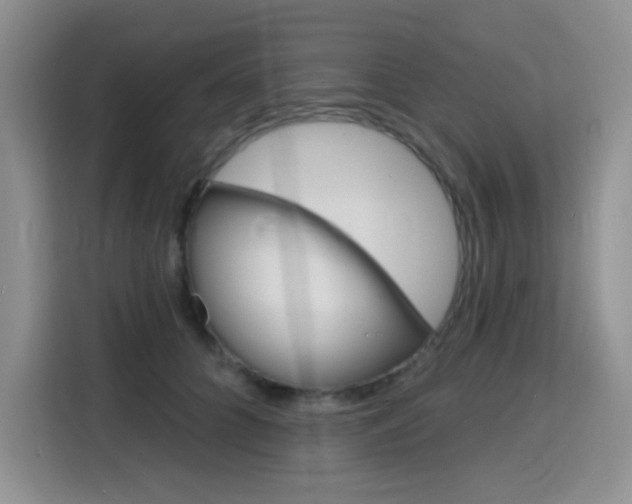 X0000116150704200911230952