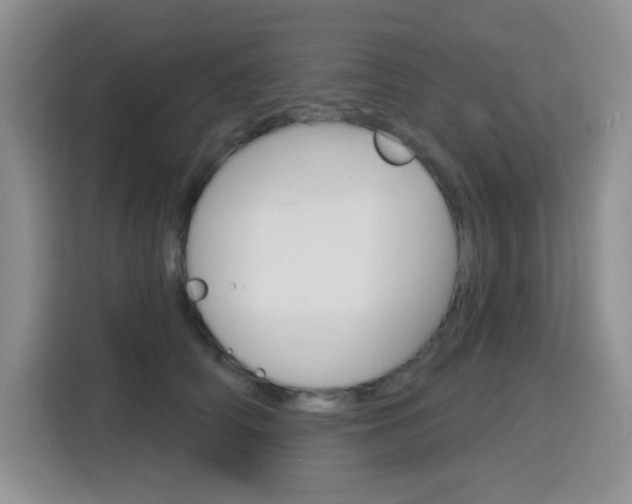 X0000116150706200911230952