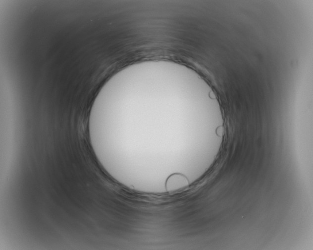 X0000116150709200911230952