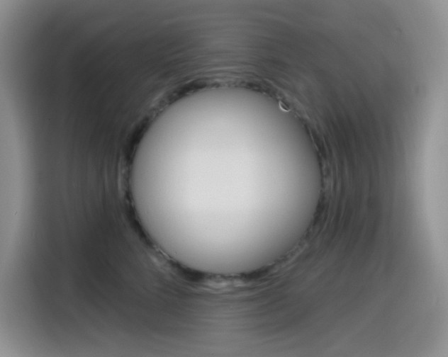 X0000116150712200911230952