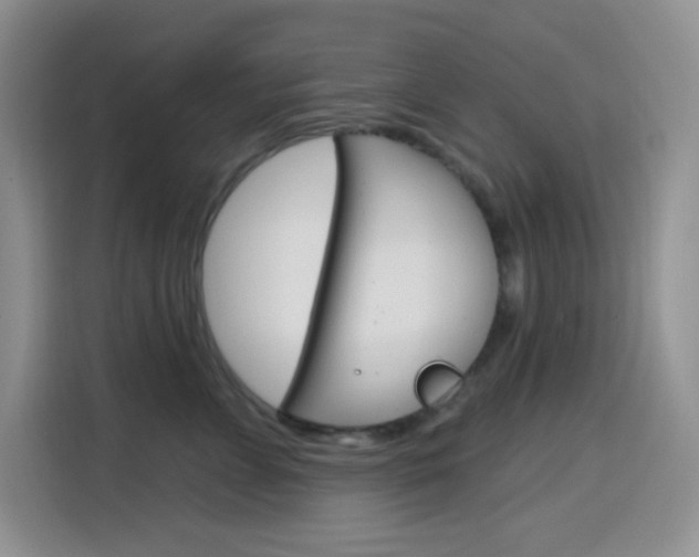 X0000116150715200911230951