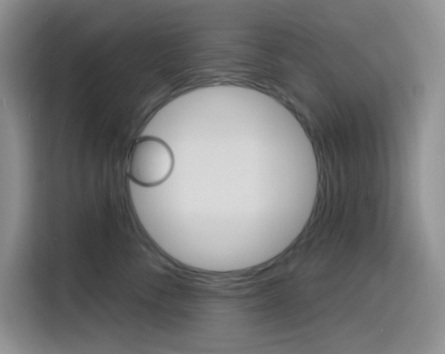 X0000116150716200911230951