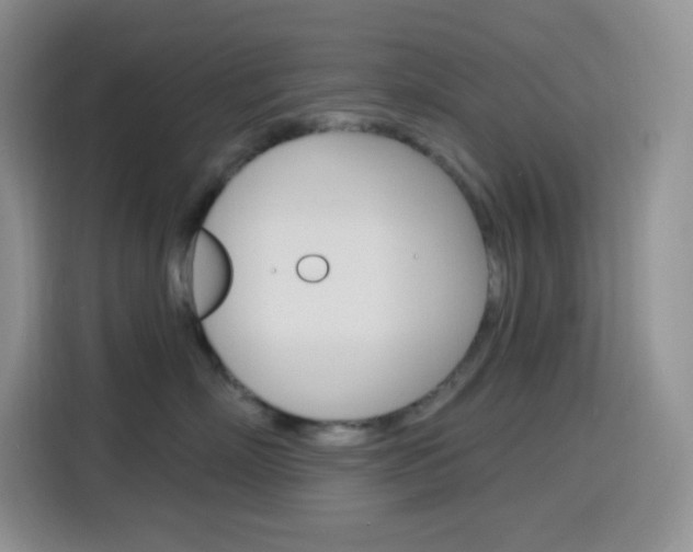 X0000116150718200911230951