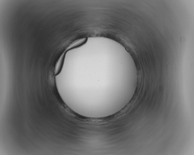 X0000116150719200911230951