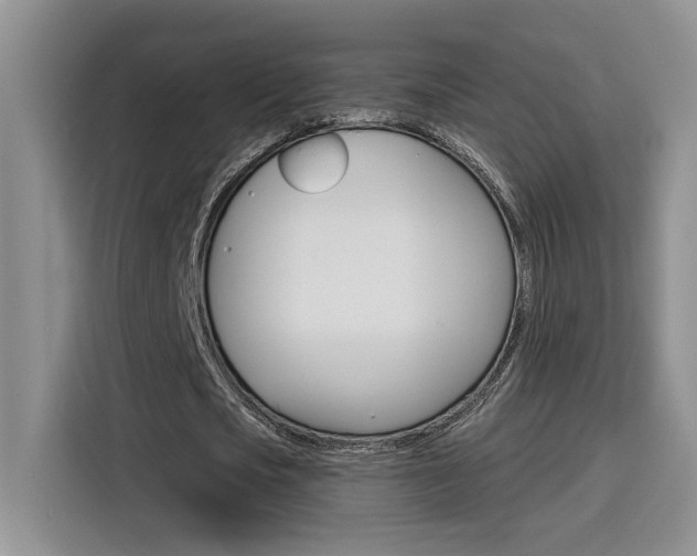 X0000116150721200911230951
