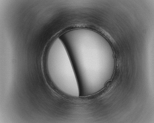 X0000116150722200911230951