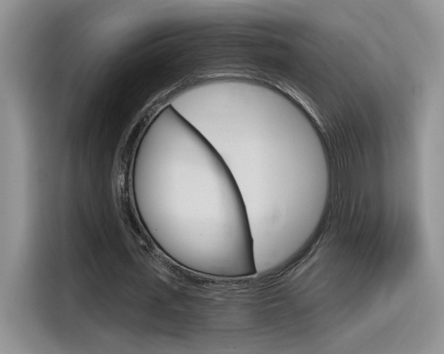 X0000116150723200911230951