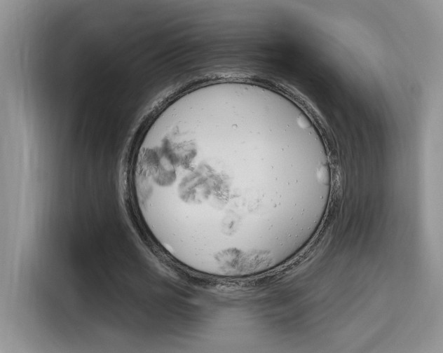 X0000116150725200911230951