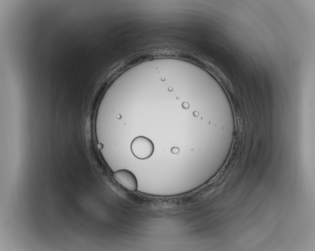 X0000116150729200911230951