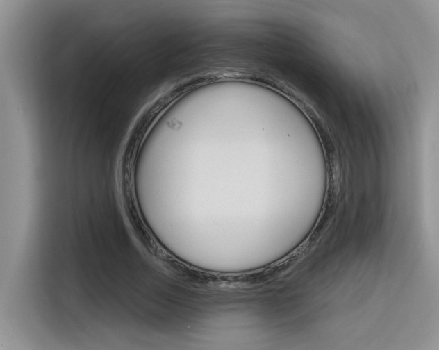 X0000116150730200911230951