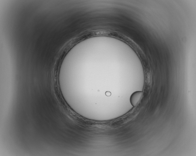 X0000116150733200911230951