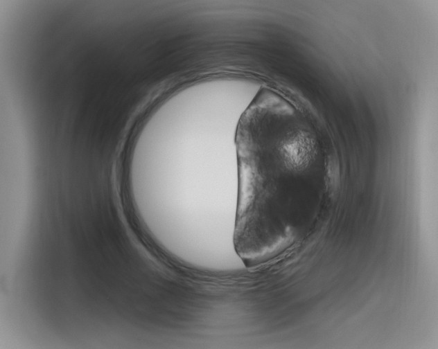 X0000116150734200911230951