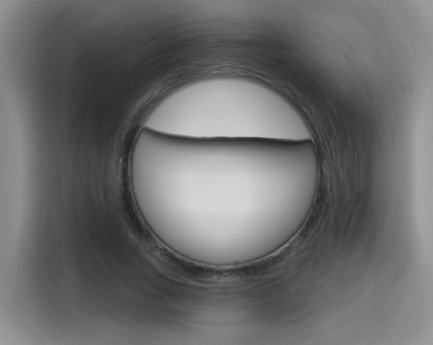 X0000116150735200911230951