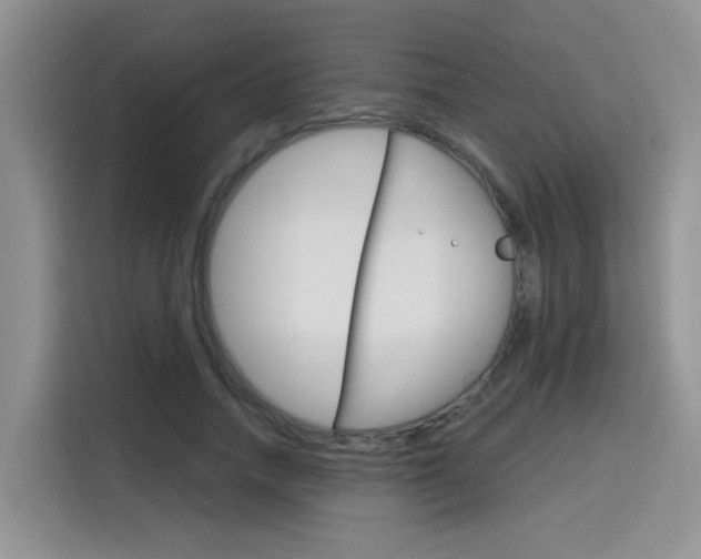 X0000116150738200911230951