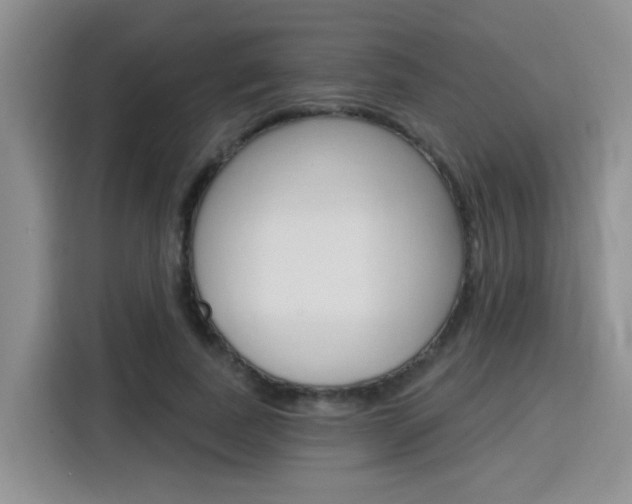 X0000116150739200911230951