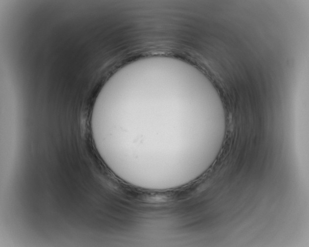 X0000116150741200911230951