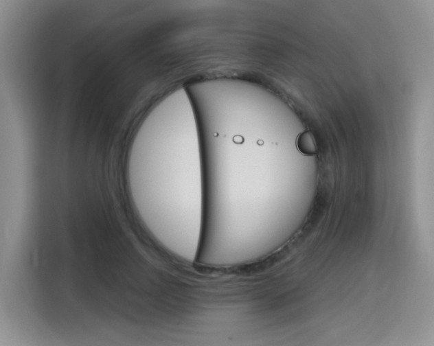 X0000116150742200911230951