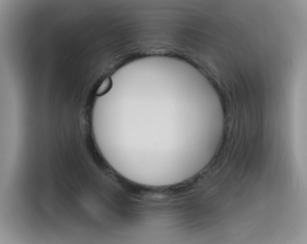 X0000116150743200911230951