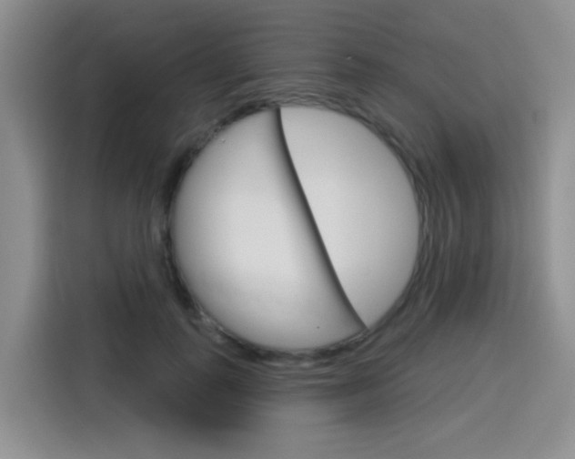 X0000116150747200911230951
