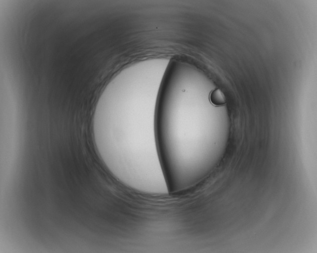 X0000116150750200911230951
