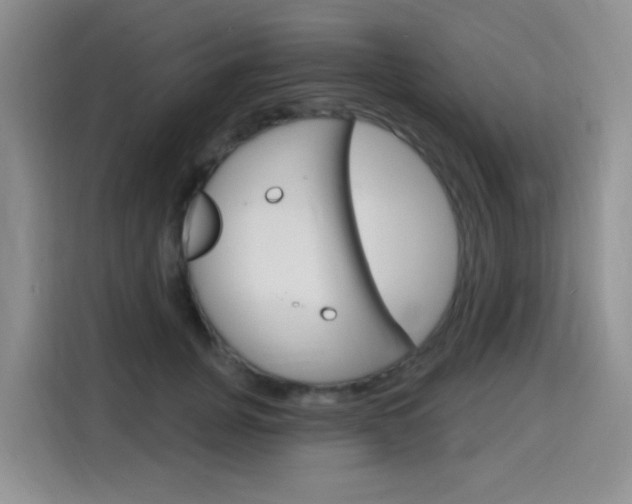 X0000116150751200911230951