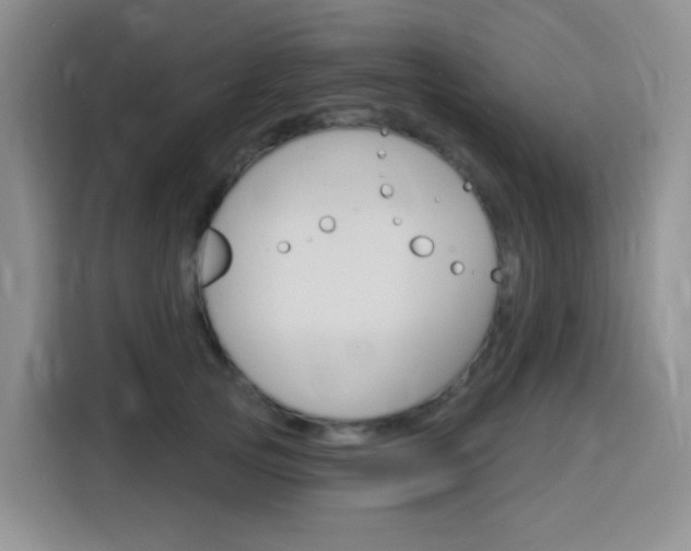 X0000116150753200911230951