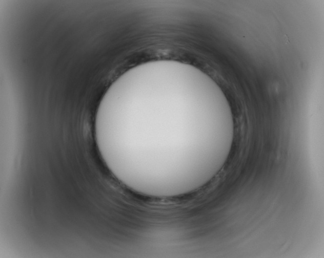 X0000116150754200911230951
