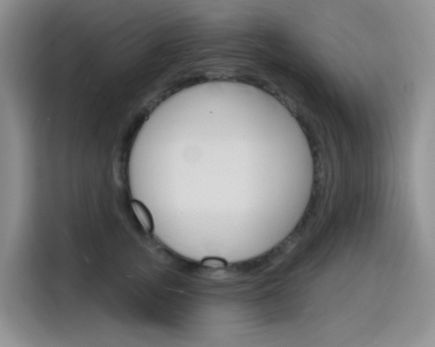 X0000116150755200911230951