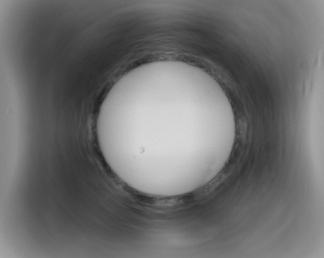 X0000116150757200911230951