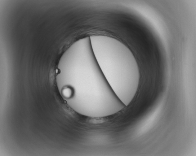 X0000116150767200911230951