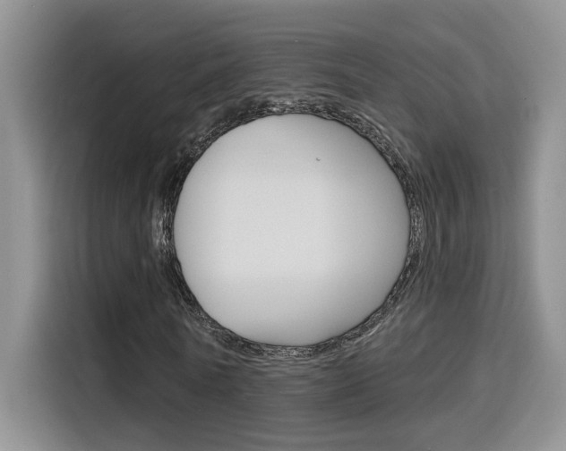 X0000116150770200911230951